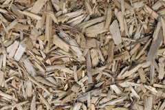 biomass boilers Colstrope